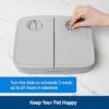 PetSafe 2 Meal Automatic Feeder, Built-in Timers, BPA Free Food Bowl, Suitable for Dry Food, Grey